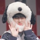 엔에프엘 이미지