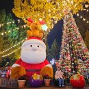 전통놀이지도사(야간) | 과천 서울랜드 야간 불꽃놀이 시간 크리스마스 마켓 놀거리