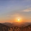 지에스25 이천하이츠점 이미지