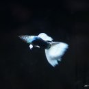 정민수산 이미지