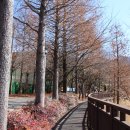 명덕체육공원 네이버블로그