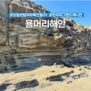 안덕면 용머리 공영주차장 입구 | 제주 서귀포 용머리해안 인스타 물때 만조시간 주차장 정보 총정리