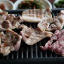 지리산산하루 이미지