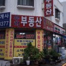 럭키공인중개사 이미지