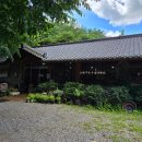 산속의친구 이미지