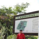 메밀꽃필무렵(후) Daum카페
