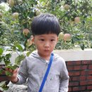 은별농장 이미지