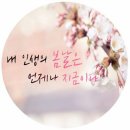 오늘도봄날
