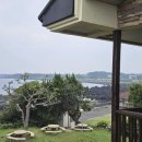 제주청개구리부동산중개 이미지