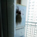 내연경로당 | 모헤어 교체 샷시 _ 샤시 털 울산 신정 현대홈타운 3단지 작업 후기