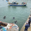 특수임무유공자회 이미지