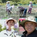 (주)에스비에스 코퍼레이션