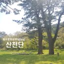 노촌이약동선생신도비 | 제주 산천단, 한라산신제를 봉행하는 배수임산의 으뜸
