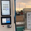 제주도 한달살이 숙소 구하기 (에어비앤비vs네이버카페)