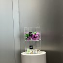 90일의기적의원 이미지