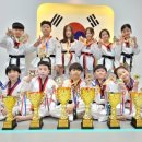 팀코리아 태권도장 이미지