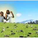 승수목장 이미지