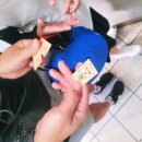 해리안호텔 | 오사카 유니버설 스튜디오 재팬 후기｜아이와 닌텐도월드·동킹콩·마리오카트·워터월드·해리포터