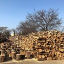 황토와소나무불한증막 이미지