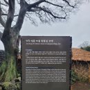 제주 성읍마을 한봉일 고택 이미지