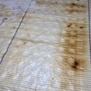 보성메디텍 이미지