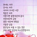 즐거운 Daum카페