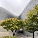 청계6가 지하상가 | 동대문 디자인플라자DDP 동대문시장 청계지하쇼핑센터 쉑쉑버거두타동대문