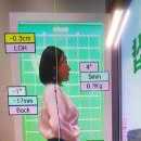 도도화