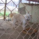 화성농장 이미지