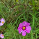 시낭송과 그림책 테라피 이미지