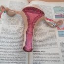 대하의원 이미지