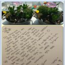 엔젤심리 | (사)한국희귀·난치성질환연합회 세계 희귀질환의 날 기념 [😇엔젤스푼데이😇]
