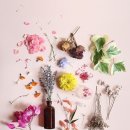 햇살플라워 이미지