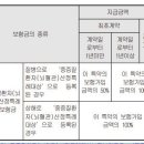 중증질환자(뇌혈관)산정특례대상(연간1회한) (간편가입Ⅴ)(갱신형)보장 특별약관 이미지