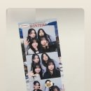 은이딸기 이미지