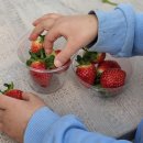 자연학교 앞(덕송2리) | 경기도 양평 겨울 빙송어축제- 아이와 방학 때 가볼만한 곳 빙어, 송어낚시 요금 할인, 주차 등 (스노위...