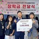 보배 이미지
