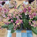 군산시정신건강복지센터 이미지