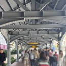 1323 | 마카오 여행! 베네시안호텔 익스클루시브 스위트룸 후기 (공항셔틀 이용방법)