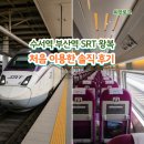 처음 - 춘천시 아침길 16 | 수서역 부산역 SRT 왕복 후기, 예매부터 좌석 콘센트까지 처음 이용한 후기