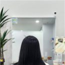 이어진;아름다움을잇다