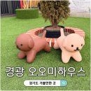 애견하우스 | 경기광주 애견카페 오오미하우스 운동장 방문후기