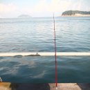 돌고래좌대낚시터 이미지