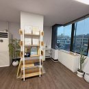 제주부동산중개사무소 이미지