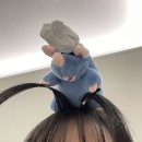 이십사-십일