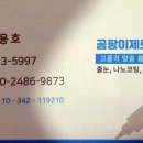 안산 줄눈시공_고잔동 전문 업체에 맡긴 후기(곰팡이 안녕!)