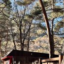 울렁다리 화장실 이미지