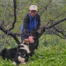 김연복 | 충주에서 복숭아 농사짓는 김연복님 / 자연을닮은사람들 기자 활동기