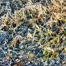 남한강낚시 이미지