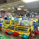 속초 중앙시장 회포장 깔끔해서 좋은 설악횟집 이미지